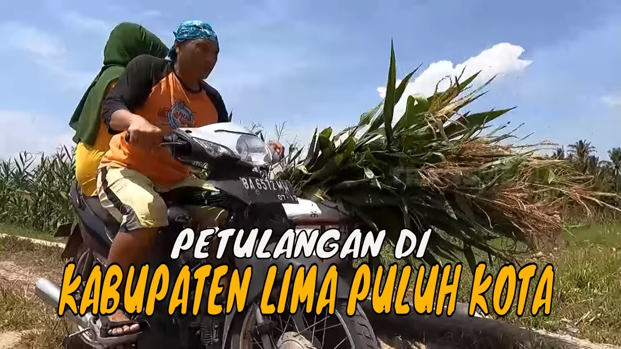 [FULL] PETUALANGAN SI GUNDUL DI KABUPATEN LIMA PULUH KOTA | JEJAK SI GUNDUL (21/04/24)