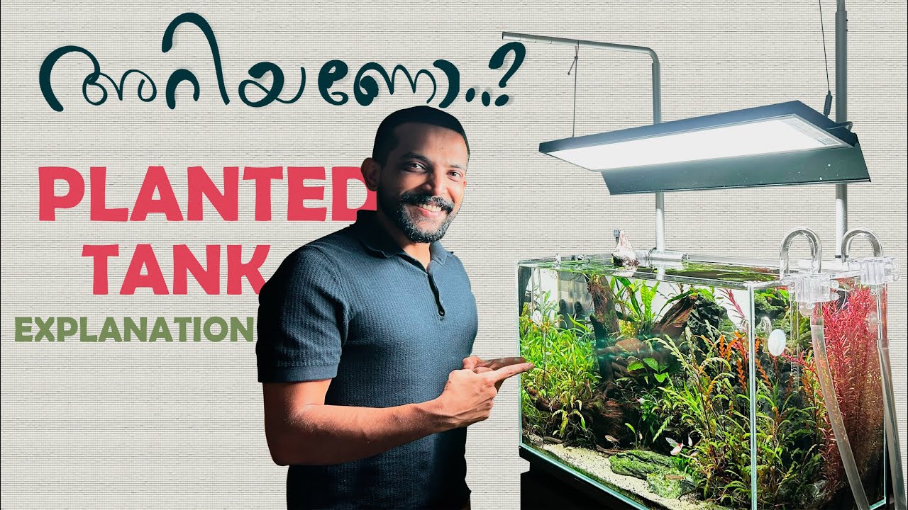 അറിയേണ്ടതെല്ലാം ഇതിലുണ്ട് | PLANTED TANK EXPLANATION