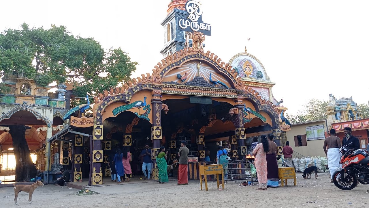 செல்வச்சந்நிதி முருகன் கோயில் 🙏 தொண்டமானாறு// வடமராட்சி// யாழ்ப்பாணம் 
