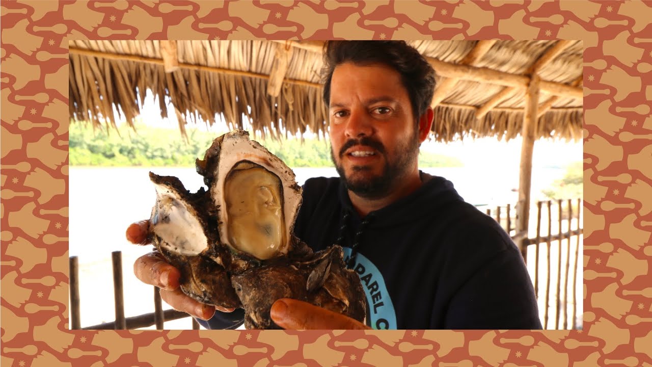 🦪 Ostra e Caranguejo 🦀 GIGANTE no Delta do Parnaíba - Maranhão | CATCH AND COOK