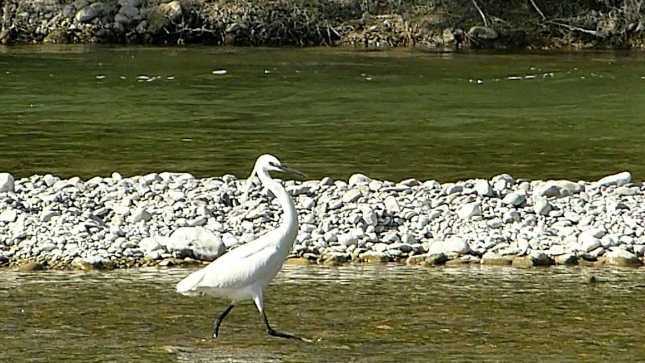 La Drôme rivière sauvage dans la réserve des Ramières