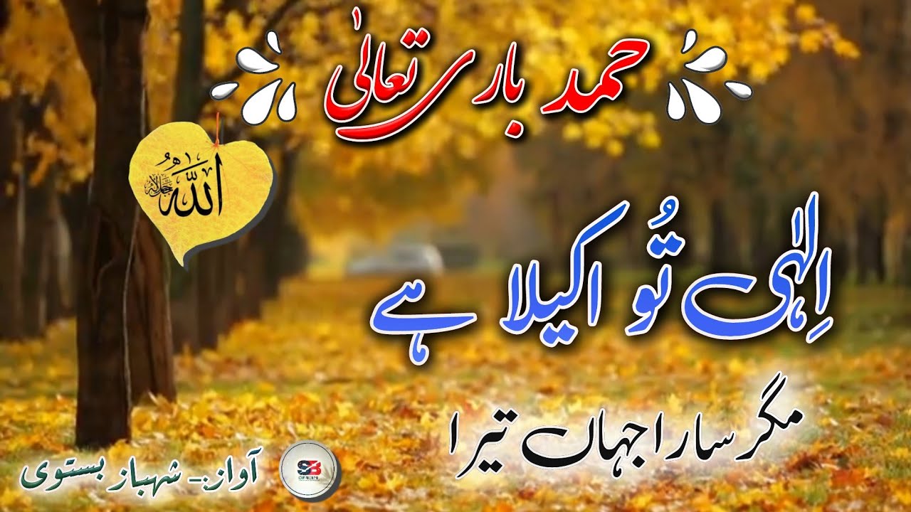Most Beautiful Hamd | Ilahi Tu Akela Hai Magar Sara Jahan Tera | Shahbaz Bastavi #hamd