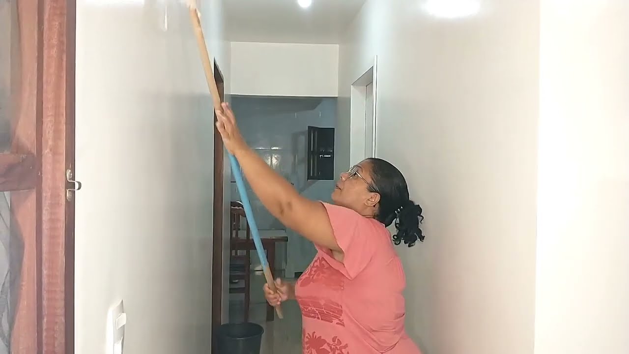 HOJE LIMPEI ALGUNS CÔMODOS DA CASA 