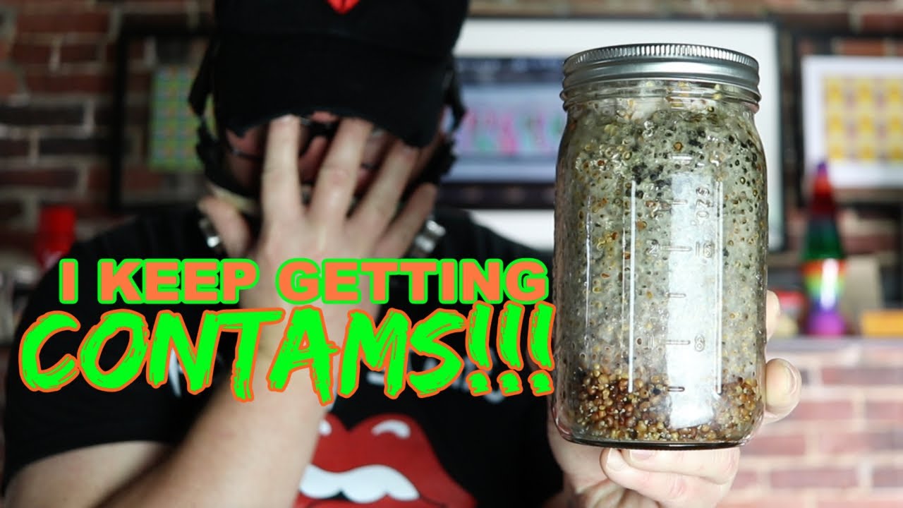 Stop contamination now so it don't come back! #WillyMyco #Mycology #Tripteamfamily