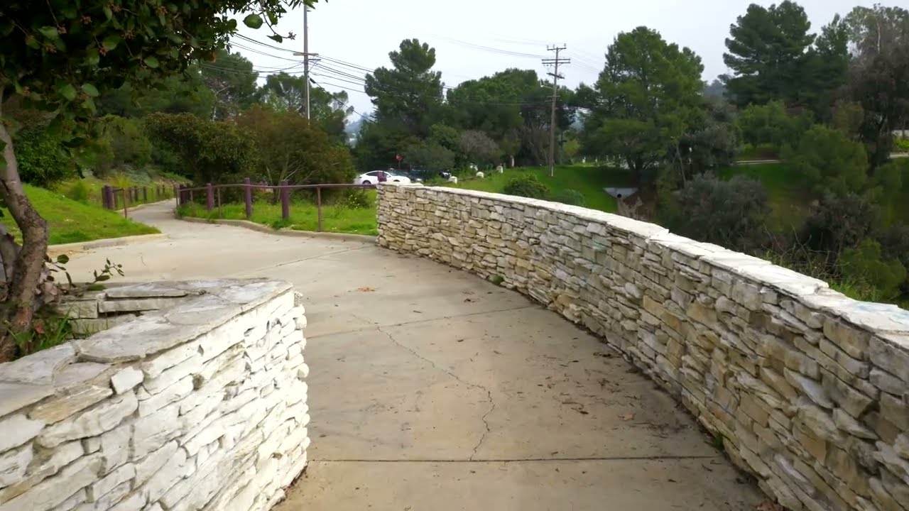 Lumix S5II with Manfrotto Gimbal Test