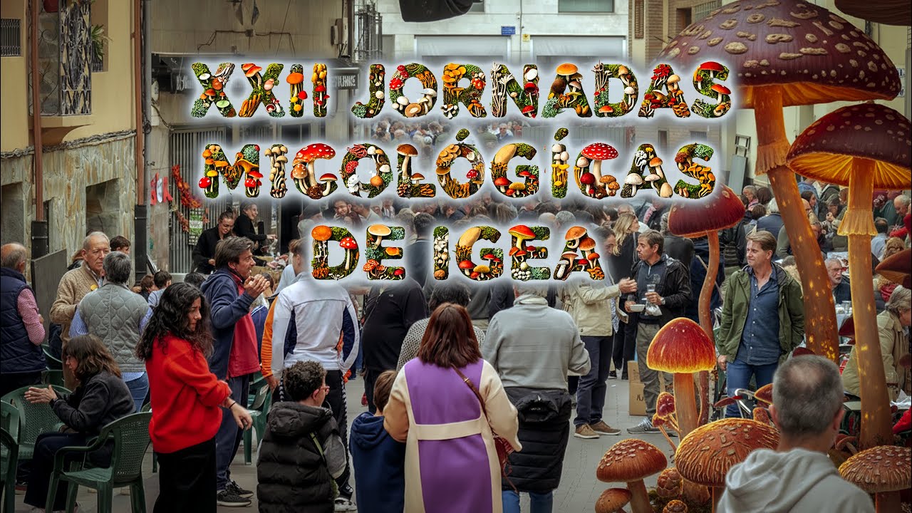 XXII Jornadas Micologicas de Igea