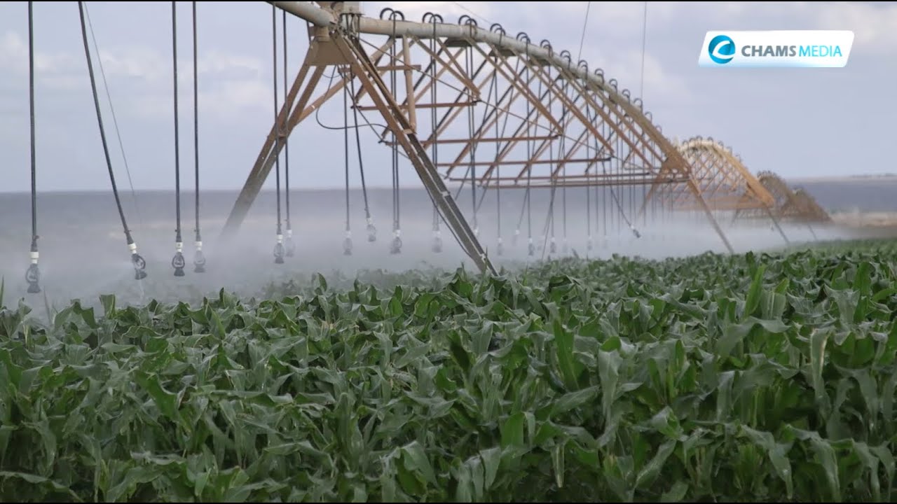 Is the Galana Kulalu Food Security Project on course?