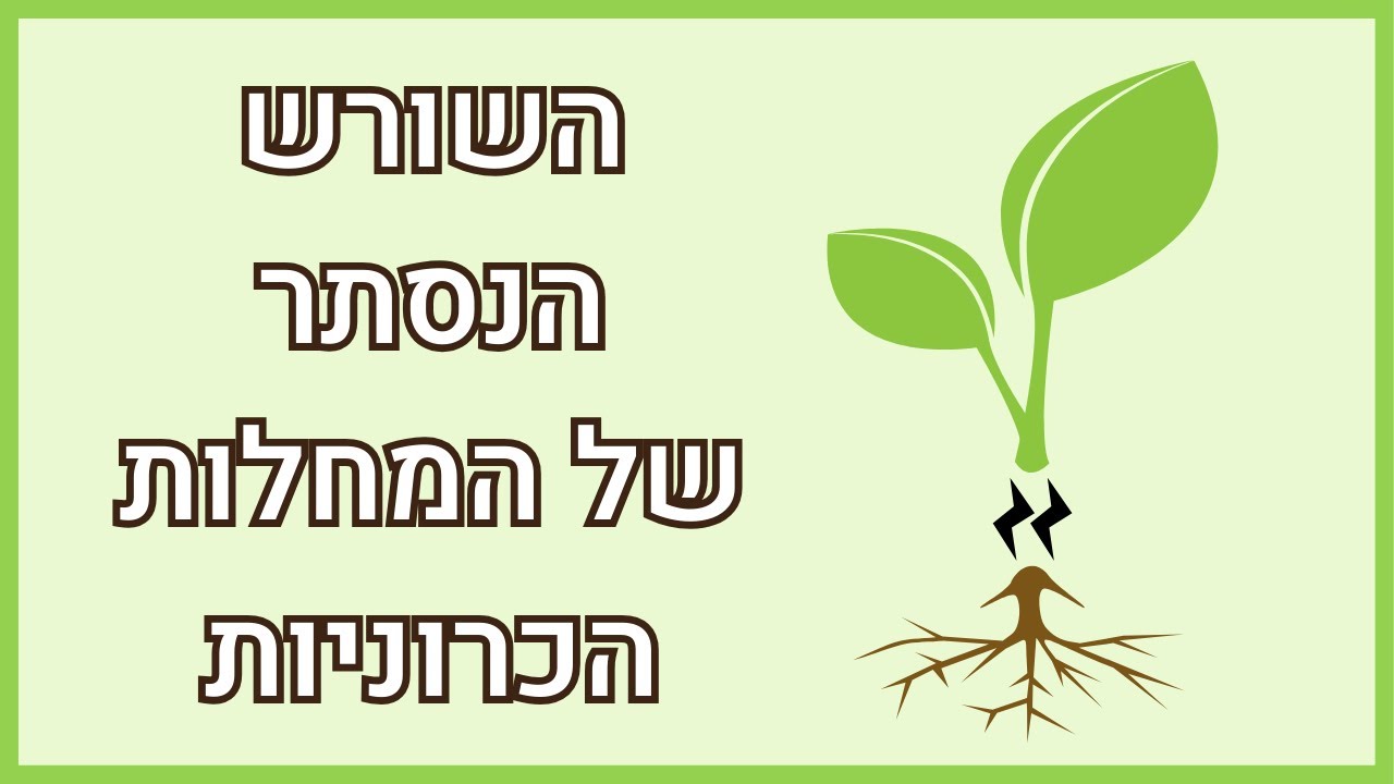 מחולל המחלה המרכזי במחלות הכרוניות