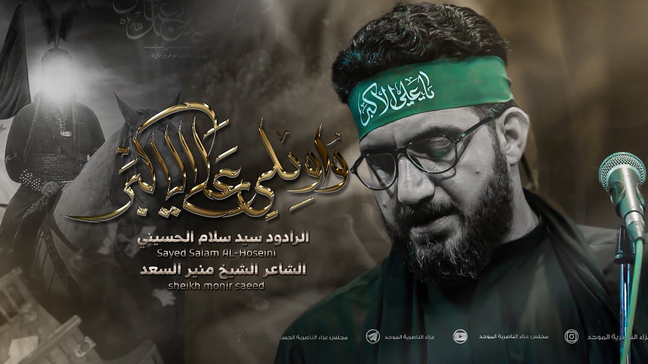 واويلي على الاكبر | سيد سلام الحسيني [ محرم الحرام 1446 هـ ] عزاء الناصرية الموحد