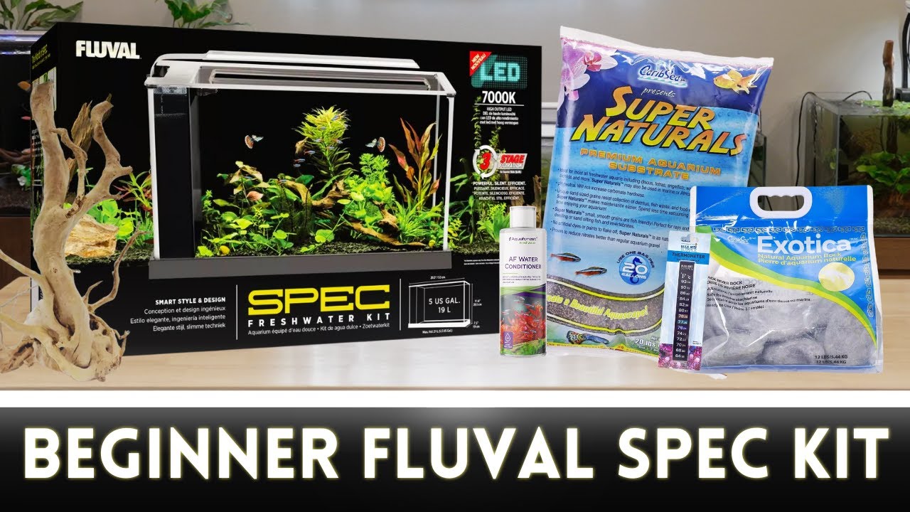 Fluval Spec 5-Gallon Bundle! Unboxing & Set-Up
