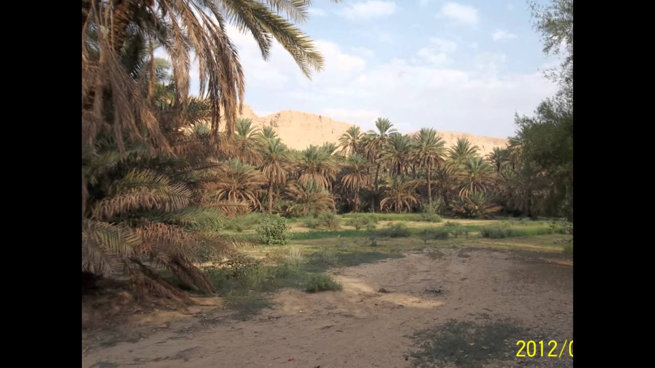 قرن باجندوح (دوعن الجبيل.wmv