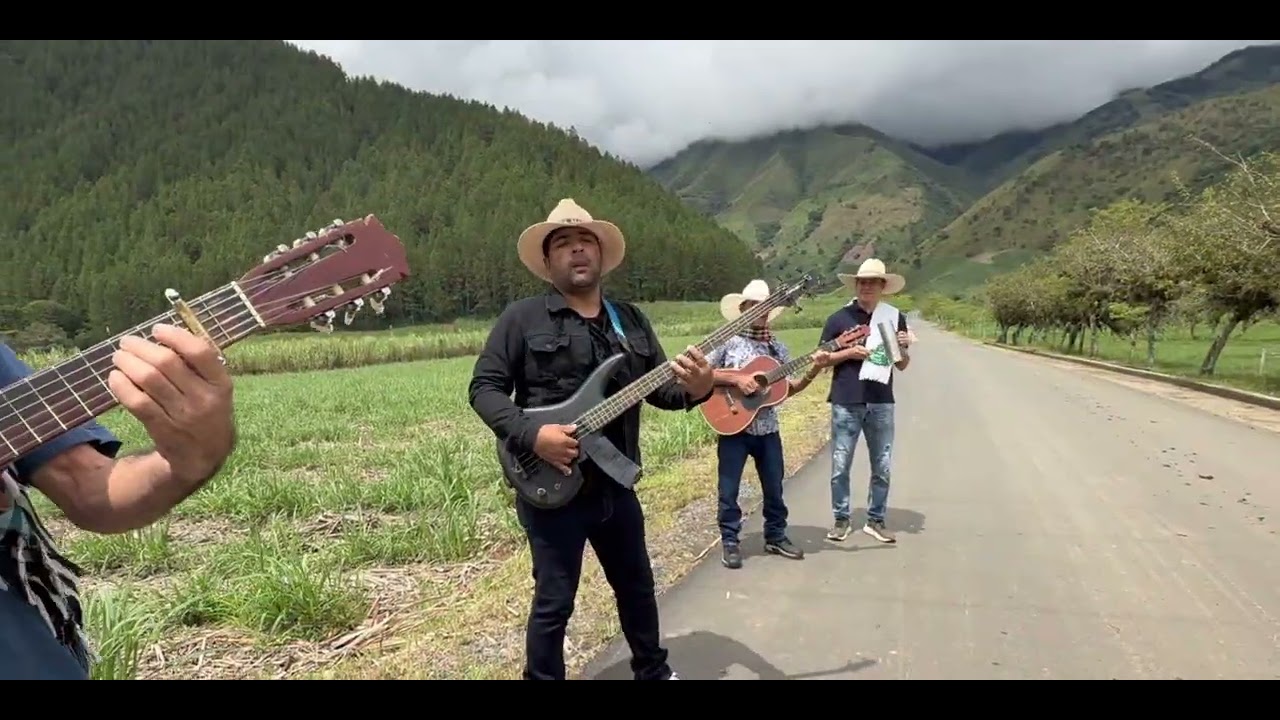 PALOMA MORENA 4K. AGROPARRANDA (cover).