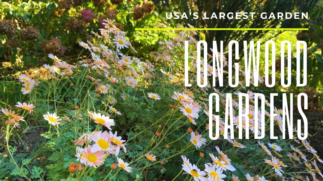 Longwood Gardens Pennsylvania  | Largest Gardens in USA | Fountain Show at night
