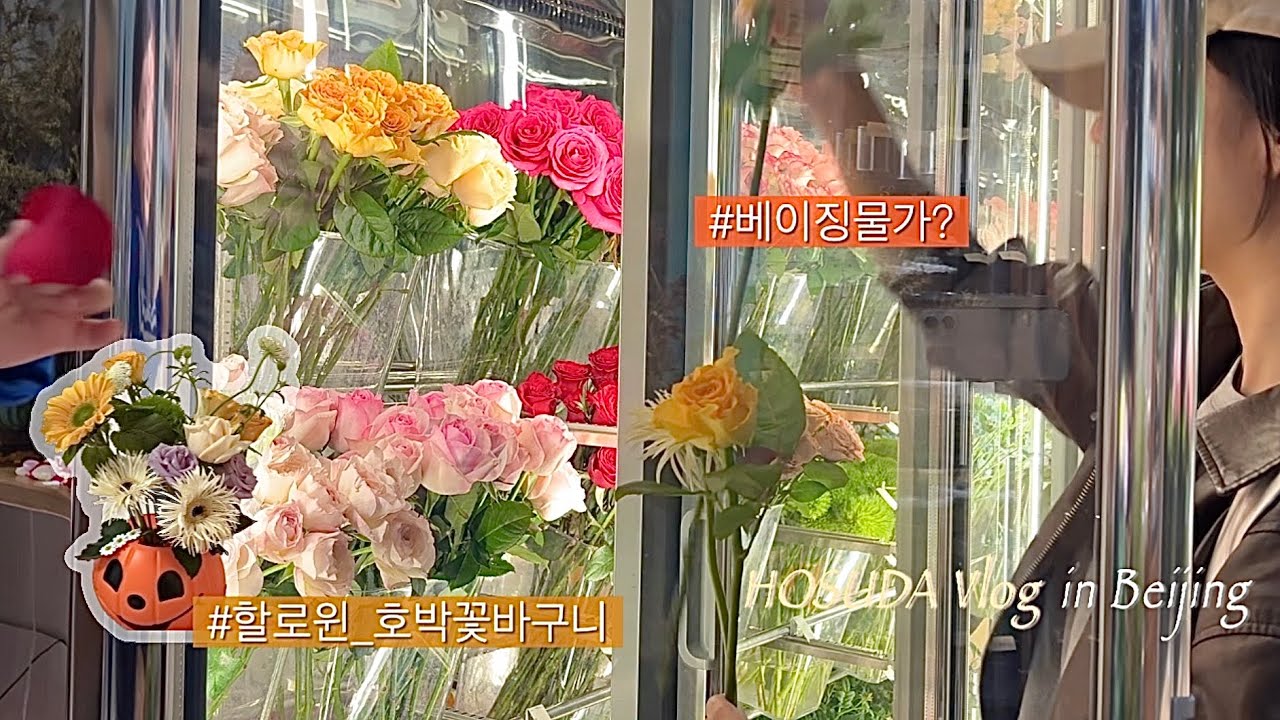 (北京) 장보고 홈파티 준비하는 베이징 살이🎃 l 할로윈 호박꽃바구니, 샘스클럽 내고향마트(한인마트) 가오슈하오(동네마트)
