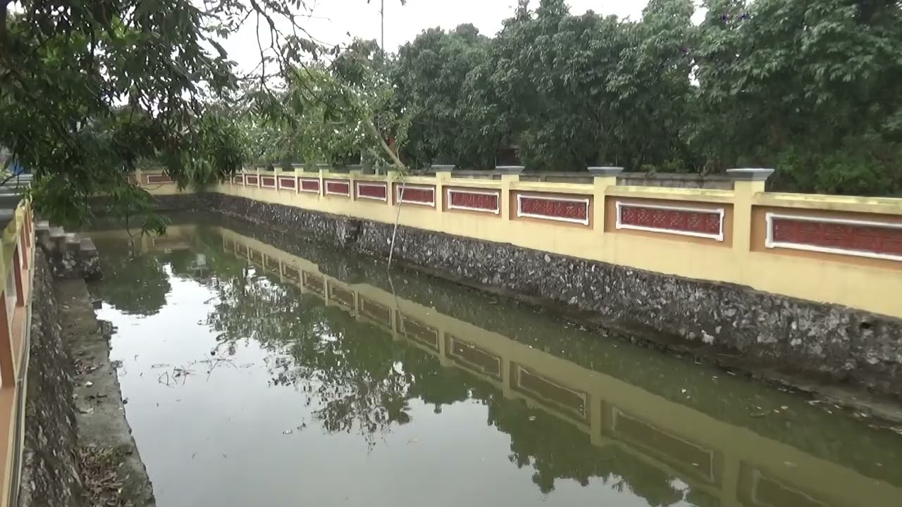 video den cuc hoa