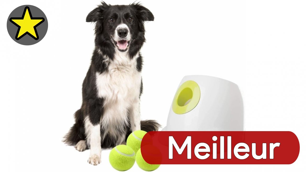 🏆 TOP 3 MEILLEUR LANCEUR DE BALLE POUR CHIEN AUTOMATIQUE 2025 ⚾