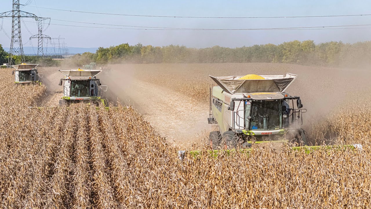 XXL Corn Harvest 2025 5x CLAAS Lexion, 10x John Deere Tractors 3x Claas Arion [Kukorica Aratás 2025]