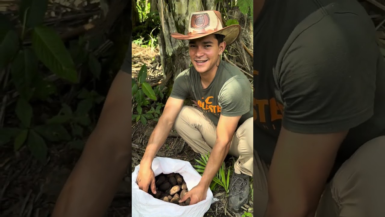 As&iacute; saqu&eacute; el moco para comerlo aqu&iacute; en el campo de la tagua