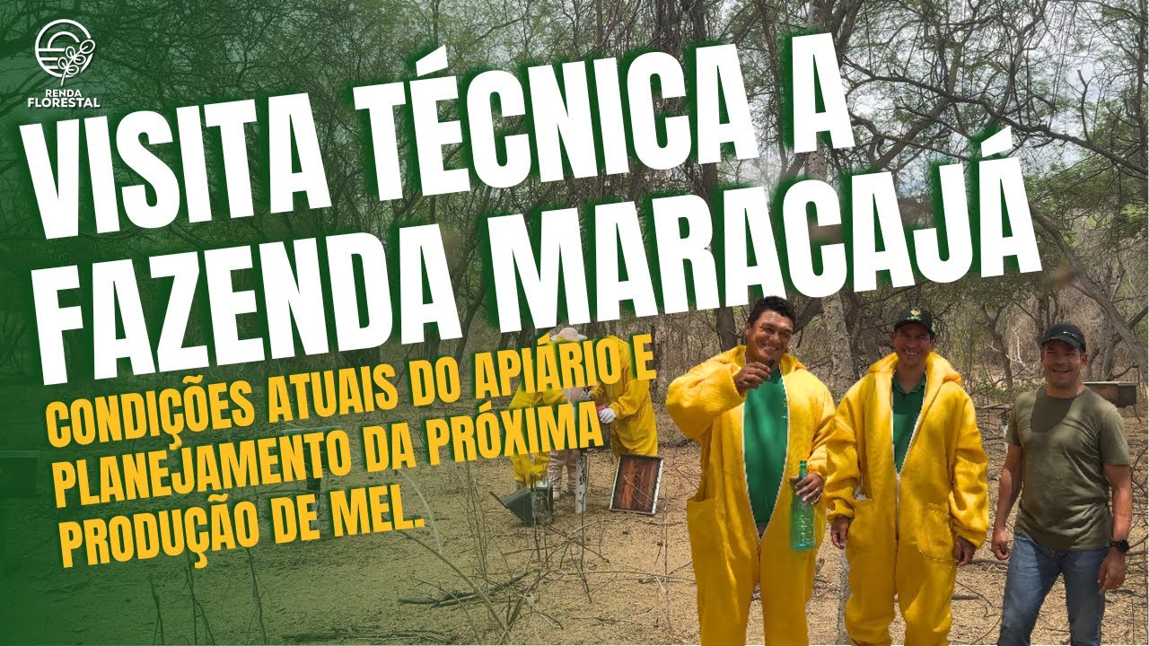 Visita Técnica à Fazenda Maracajá em Canindé