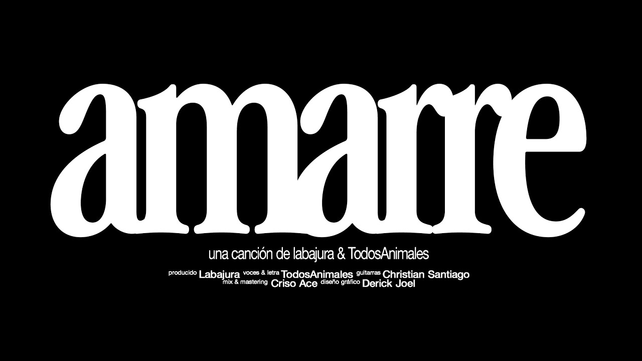 Amarre (feat. TodosAnimales) Visualizer
