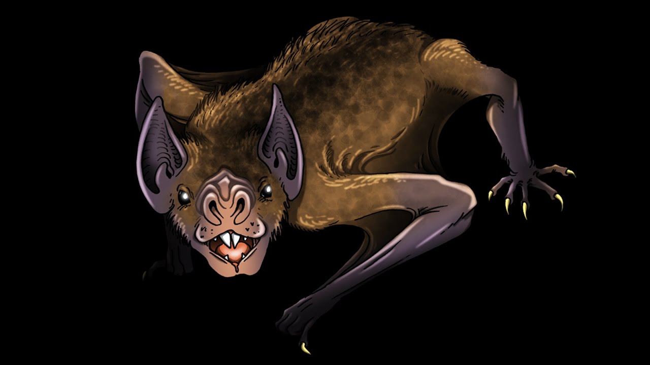 A Giant Prehistoric Vampire Bat - Desmodus draculae