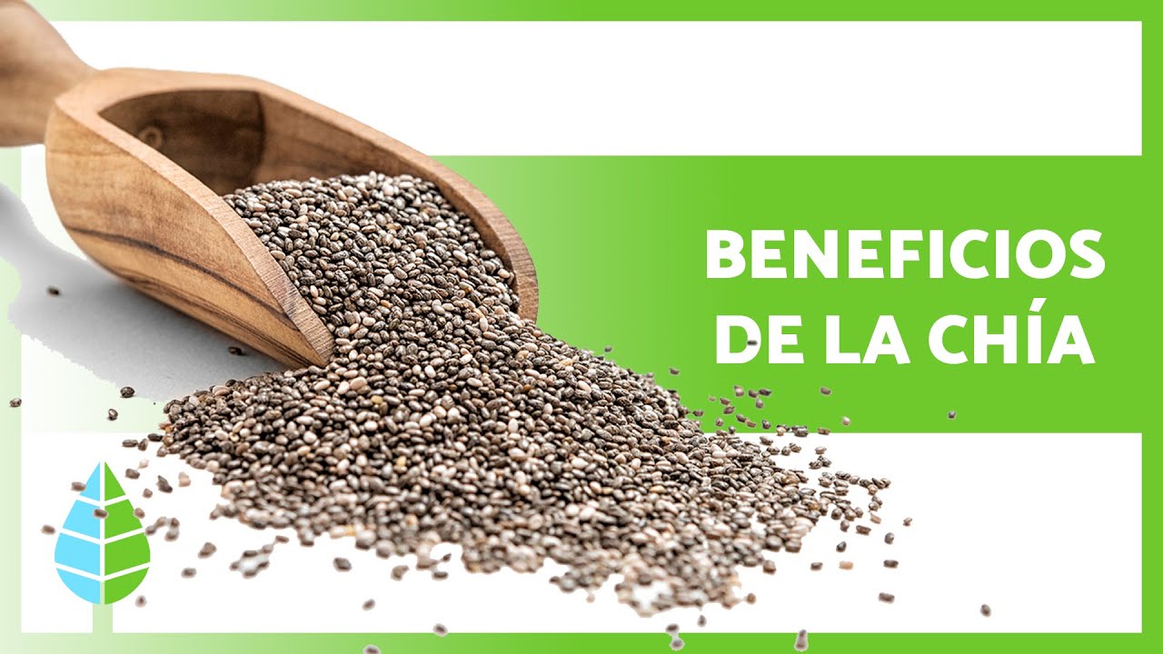 BENEFICIOS de las SEMILLAS de CH&Iacute;A 💚 (Propiedades, Para Qu&eacute; Sirven y C&oacute;mo Consumirlas)