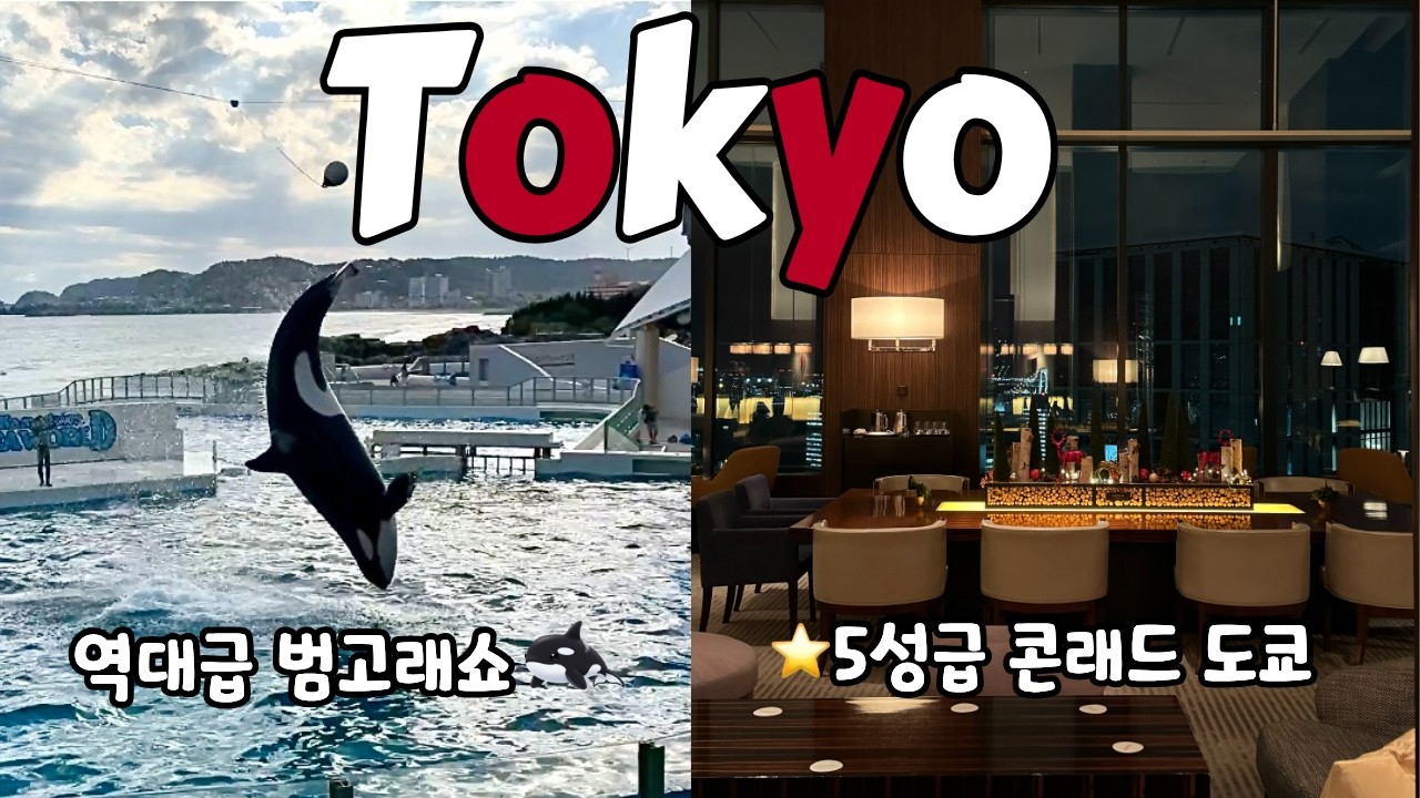 도쿄에서 범고래를?🐋 남들 안가는 3박 4일 코스🇯🇵(콘래드 호캉스, 가모가와 온천♨️)