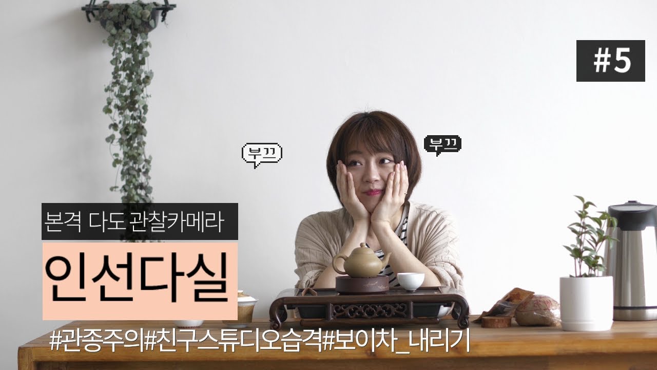 [인선다실]다도 관찰카메라! 03차순호 보이차