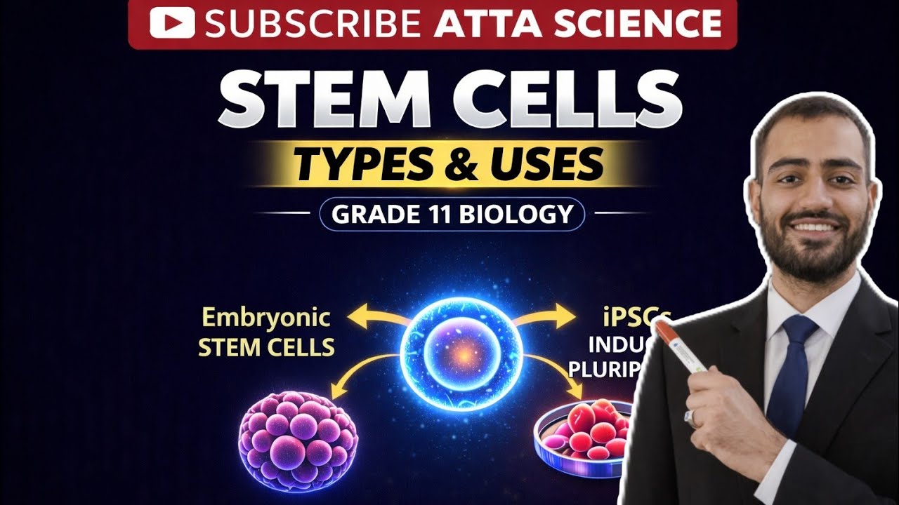 Grade 11 Biology   |  Unit 1 Lecture 7 |Stem Cells: The Future of Medicine? | Types & IPSC 