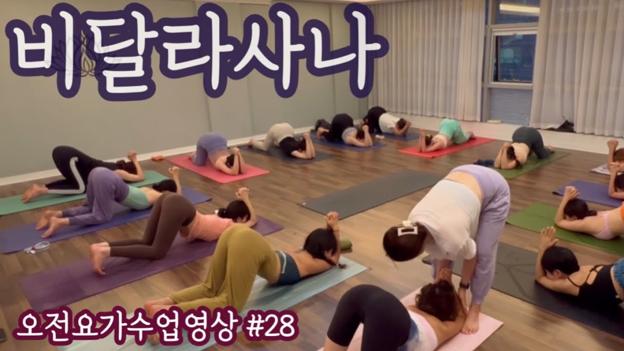 [엔젤요가] 저녁요가 수업영상#28 | 비딜라사나