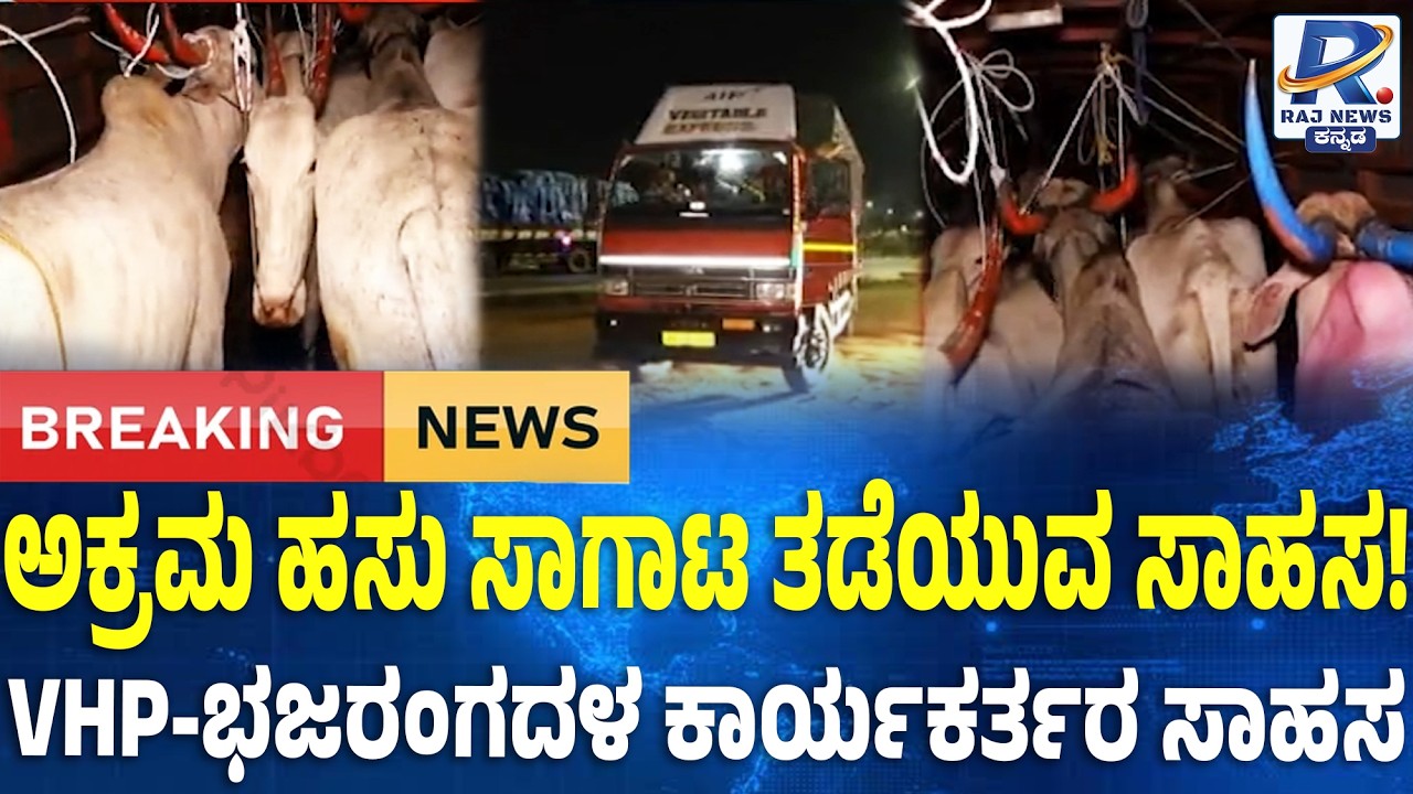 Chitradurga: VHP Bajrang Dal Stop Illegal Cow Transport: ಅಕ್ರಮ ಹಸು ಸಾಗಾಟ ತಡೆಯುವ ಸಾಹಸ!
