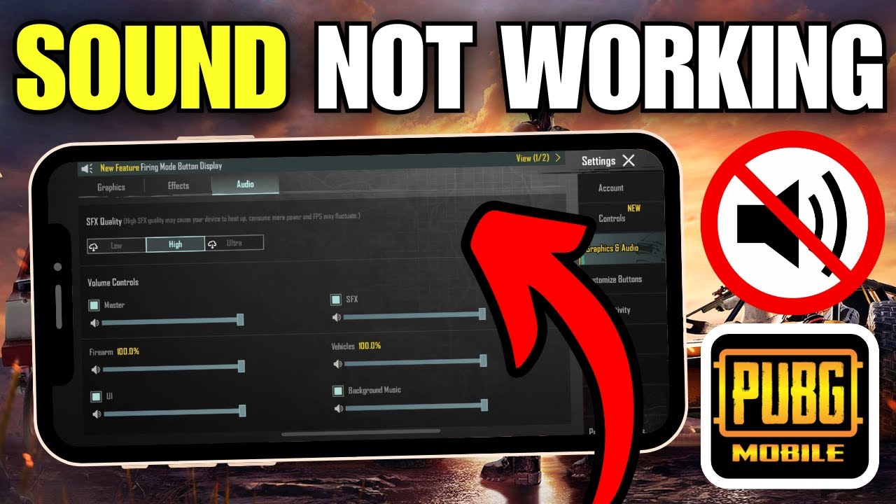 How To Fix PUBG Mobile No Sound Problem on iPhone