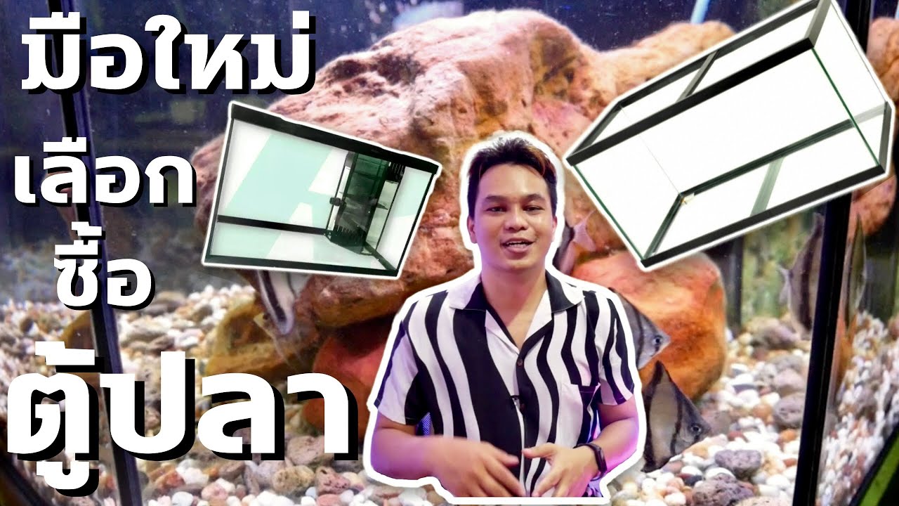 มือใหม่ เลือกซื้อตู้ปลา ตู้โล่ง ตู้กรอง EP.28 : ฮัลโหล พาเพลิน | พาเพลิน อะควาติก