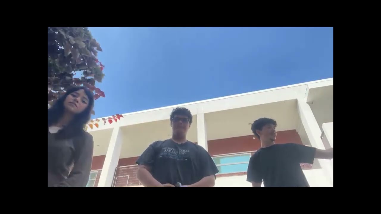 Egg Drop - Lab Report