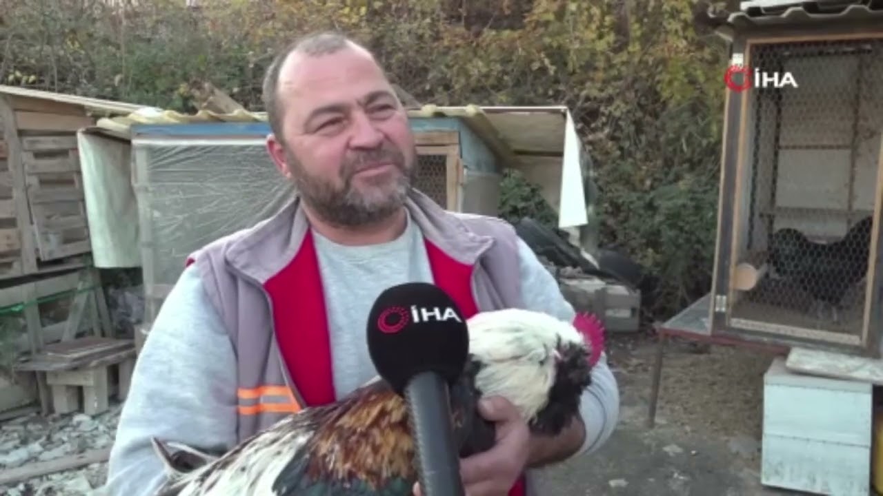 Mermer tozu arasında nadir bir tutku