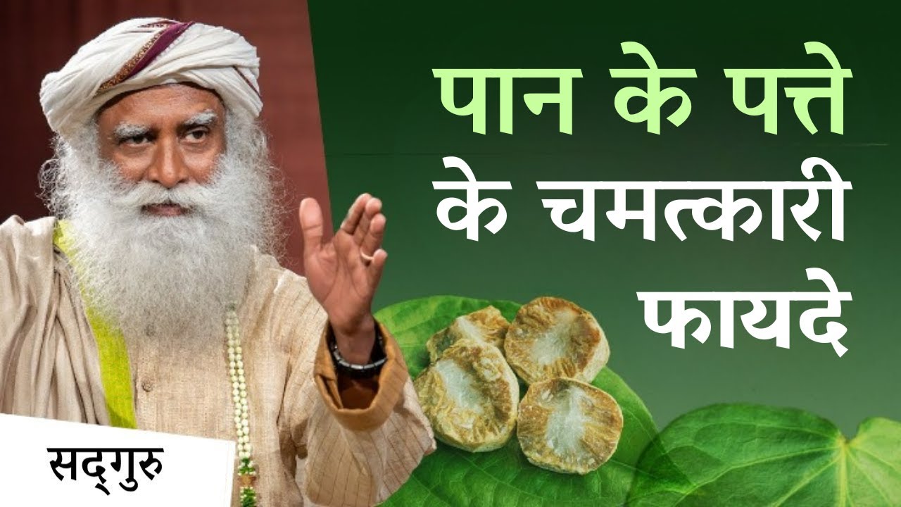 पान के पत्ते के चमत्कारी फायदे | Incredible Benefits Of Betel Leaf | Sadhguru Hindi