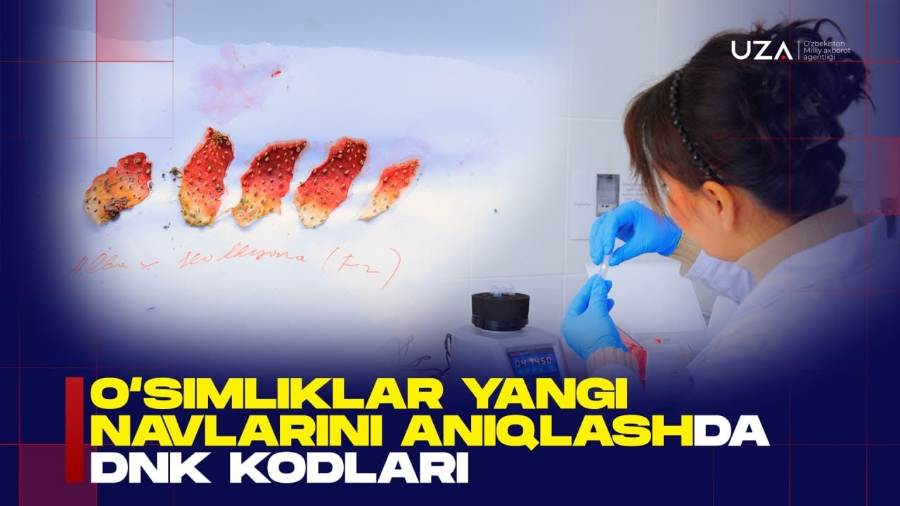 O`simlik yangi turlarini aniqlashda  DNK kodlarining ahamiyati 