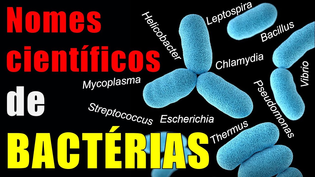 Como pronunciar os nomes científicos de bactérias?