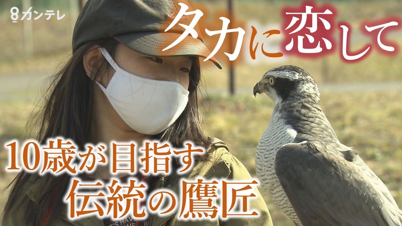 タカに恋した小学4年生　日本古来の伝統 “鷹匠”になりたい！　師匠から学ぶ
