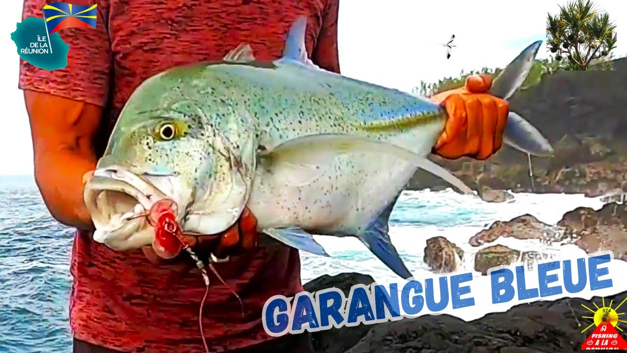 Carangue Pêche En Bord De Mer Au Leurre  FISHING 974