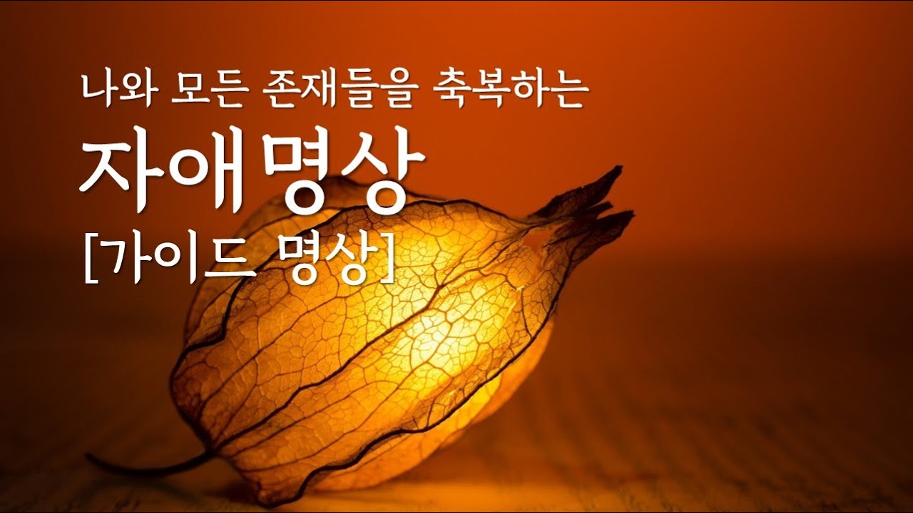 [상황별명상] 혼자서 따라하며 쉽게 익히는 자애명상 | 시기와 질투에서 벗어나 자애의 마음을 냅니다