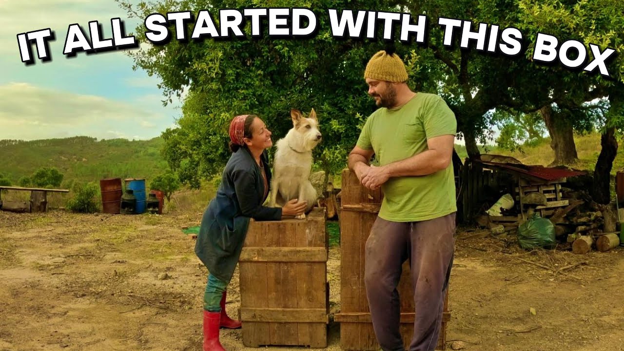 Неожиданная неудача в нашей автономной усадьбе в Португалии.