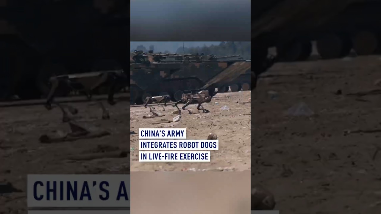 China&rsquo;s army integrates robot dogs in live-fire exercise