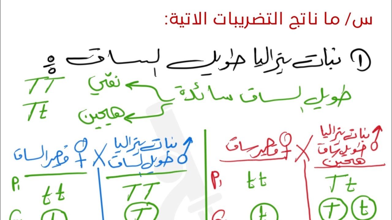 مسائل ما ناتج التضريبات الاتية /احياء فصل خامس وراثه/#سادس_علمي نور باجلان