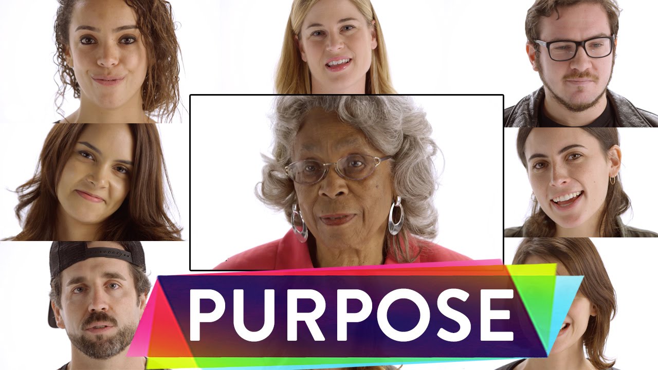 What is Your Purpose in Life? | 0-100
