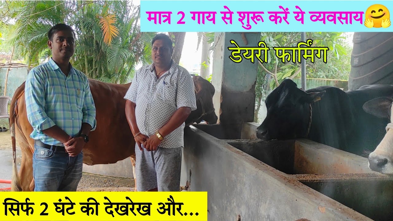 डेयरी फार्मिंग | सिर्फ 2 गाय से करें शुरुआत ✌️ | Dairy Farming | Cow farming rearing