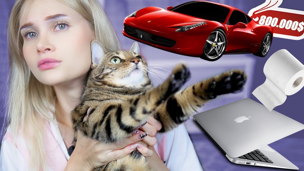 ПОКУПАЮ ВСЕ К ЧЕМУ ПРИКОСНЁТСЯ КОТ 🐱  | ЛИССА