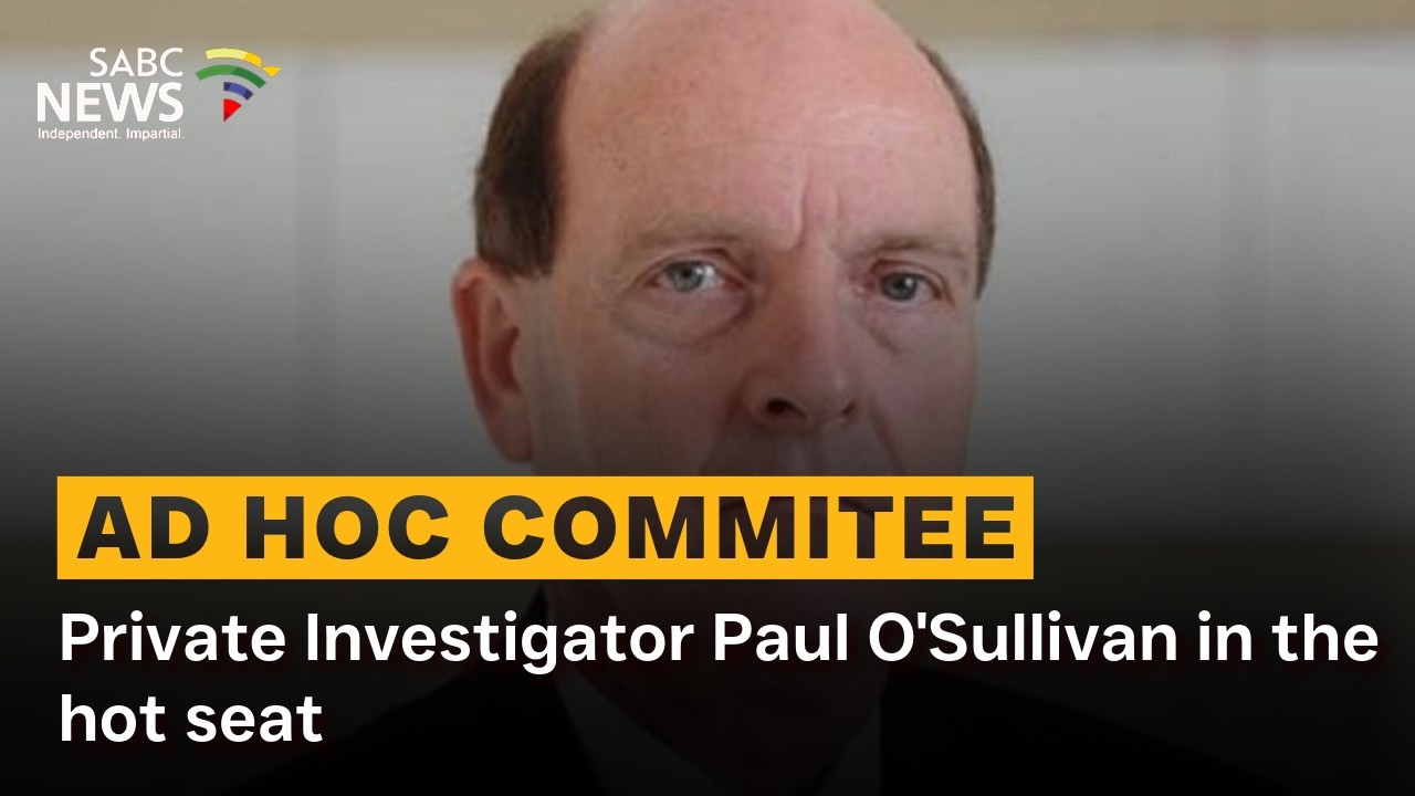 Ad Hoc Committee | Private Investigator Paul O'Sullivan in the hot seat: Abra Barbier