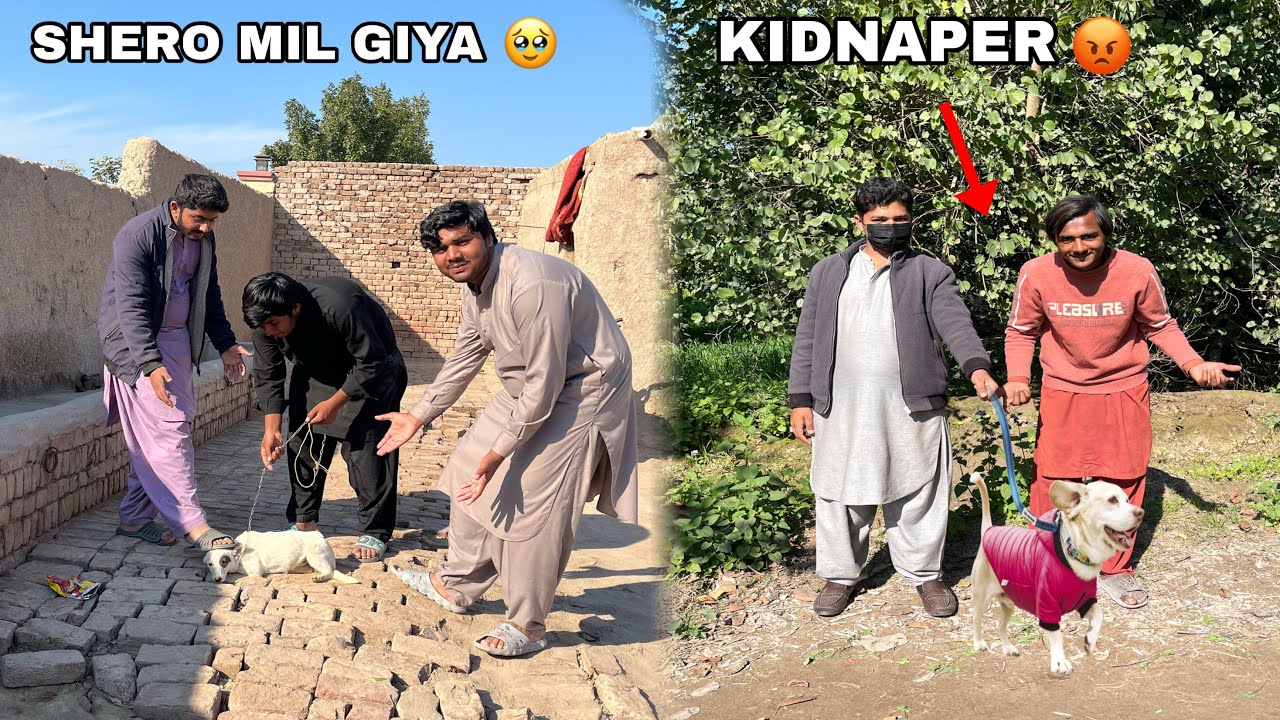 Shero Dog 🐶 Mil giya 🥹 | kidnaper bhaag gayee 😡