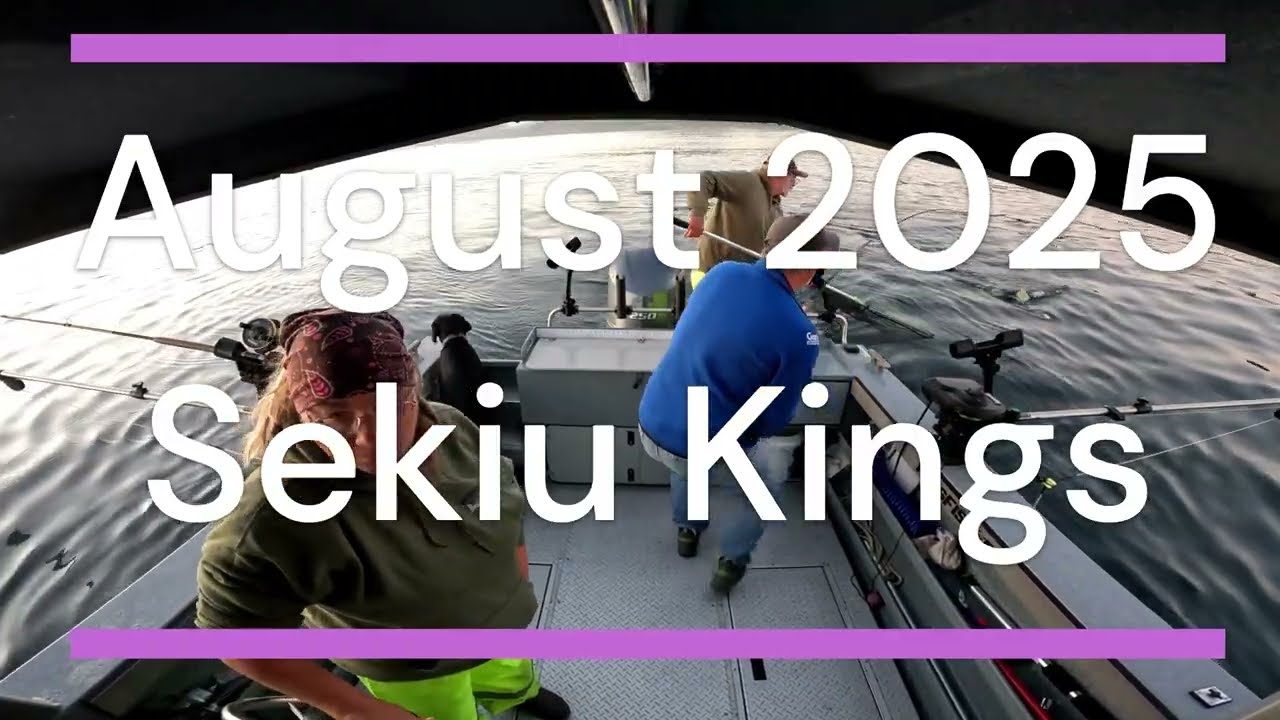 Sekiu August 2025